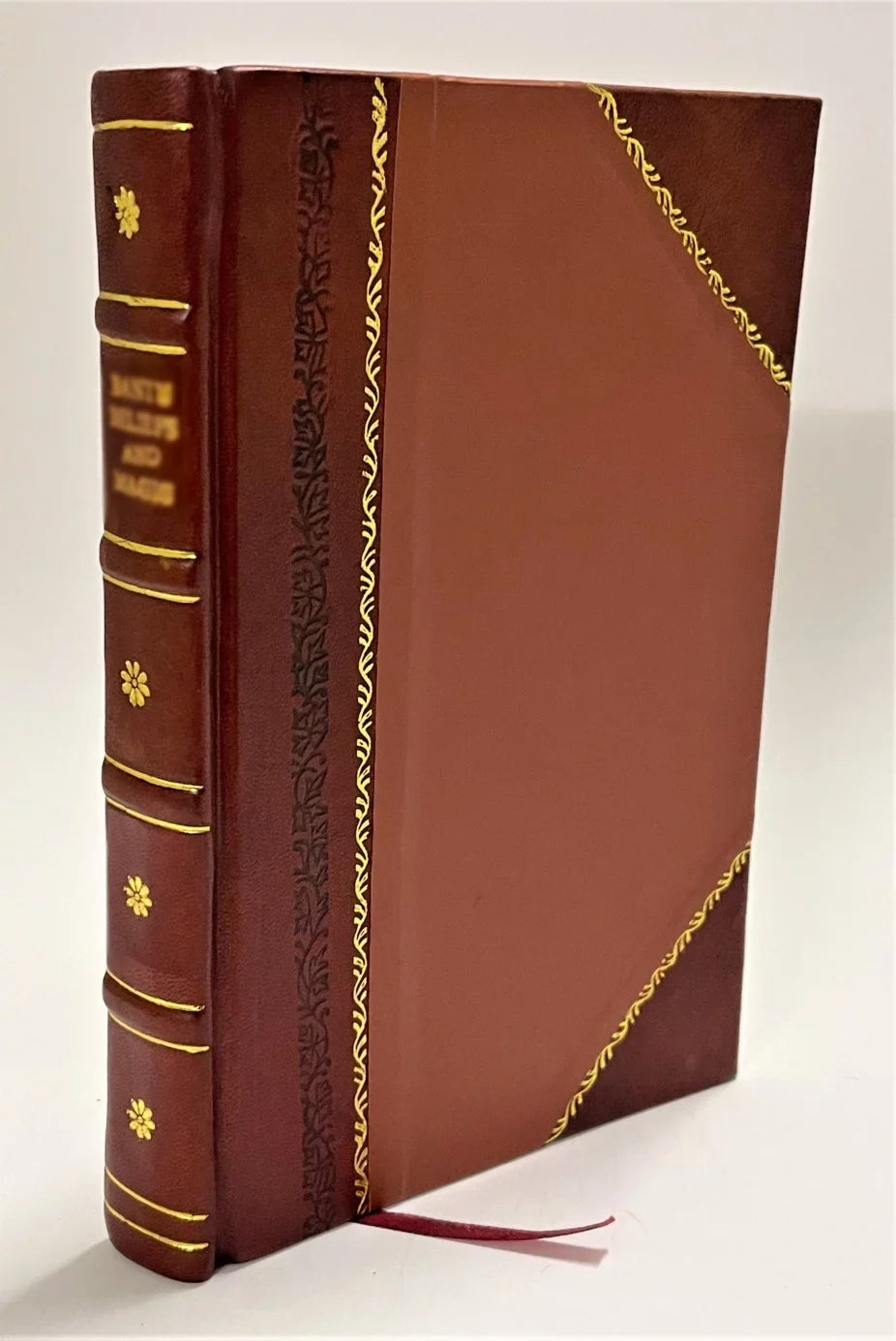 I dannati redivivi per la coda di Minosse dialogo dedicato ad Astrea imperatrice augustissima dell'Olimpo dall'abate Jacopo prof. Gnoato [Leather Bound]