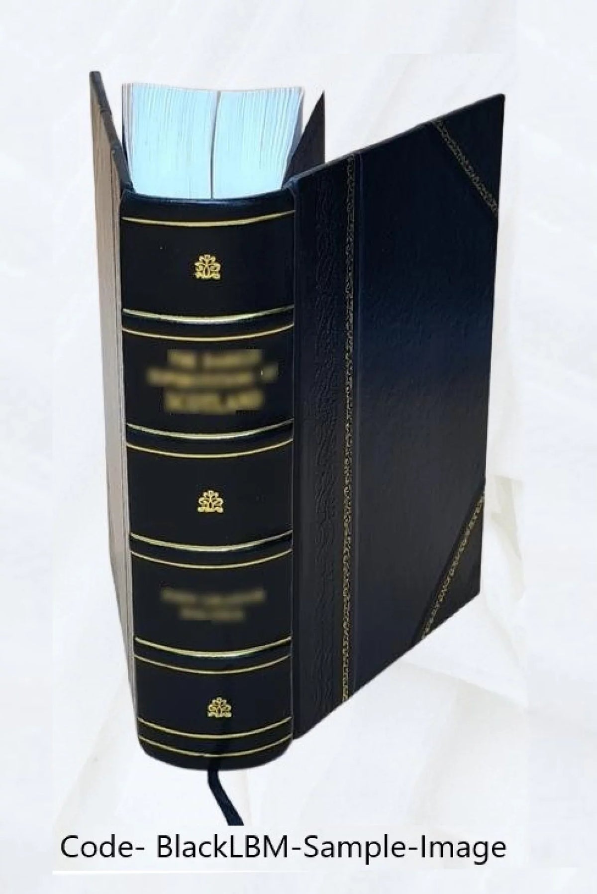 A system of the law of marine insurances; with three chapters on bottomry; on insurances on lives; on insurances against fire. By Sizeir James Allan Park, knt Volume v. 2 1842 [Leather Bound]