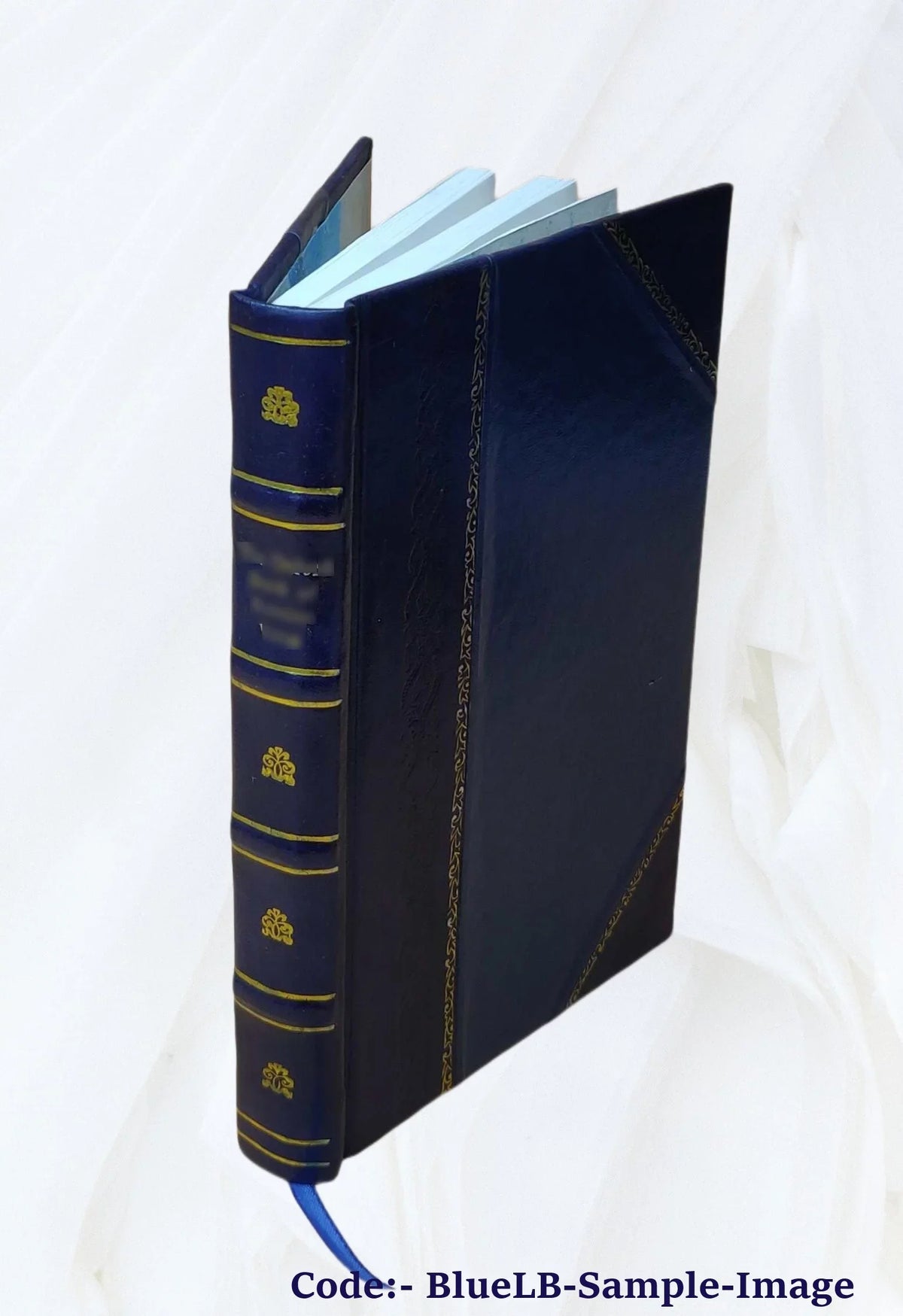 Aerodynamics: Constituting the First Volume of a Complete Work on Aerial Flight 1907 [Leather Bound]