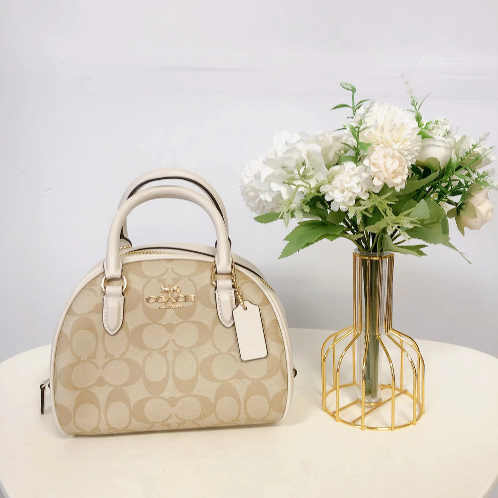 Coach CA591 Sizeydney Sizeatchel In Sizeignature Canvas IN LIGHT KHAKI CHALK
