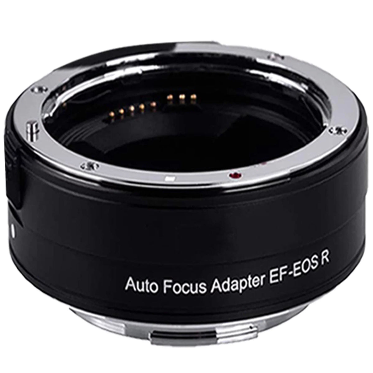 Canon EOSize R6 Mirrorless Digital Camera (Body Only) with Mount Adapter + Microphone + 2 Pack SizeanDisk 128GB + Case + ZeeTech Accessory