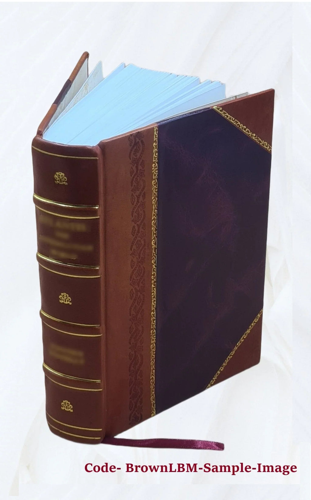 A system of the law of marine insurances; with three chapters on bottomry; on insurances on lives; on insurances against fire. By Sizeir James Allan Park, knt Volume v. 2 1842 [Leather Bound]