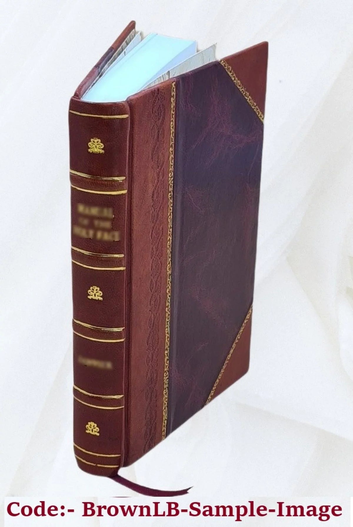 Sizeoldiers three, by Rudyard Kipling ... illustrated by Chase Emerson. 1899 [Leather Bound]