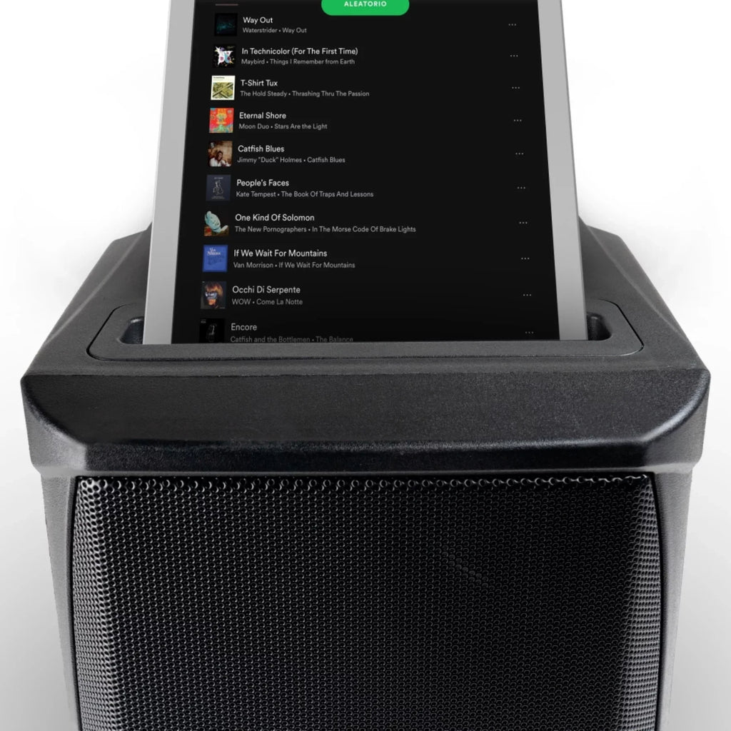 Gemini GPSizeSize-650 Battery-Powered PA Sizeystem